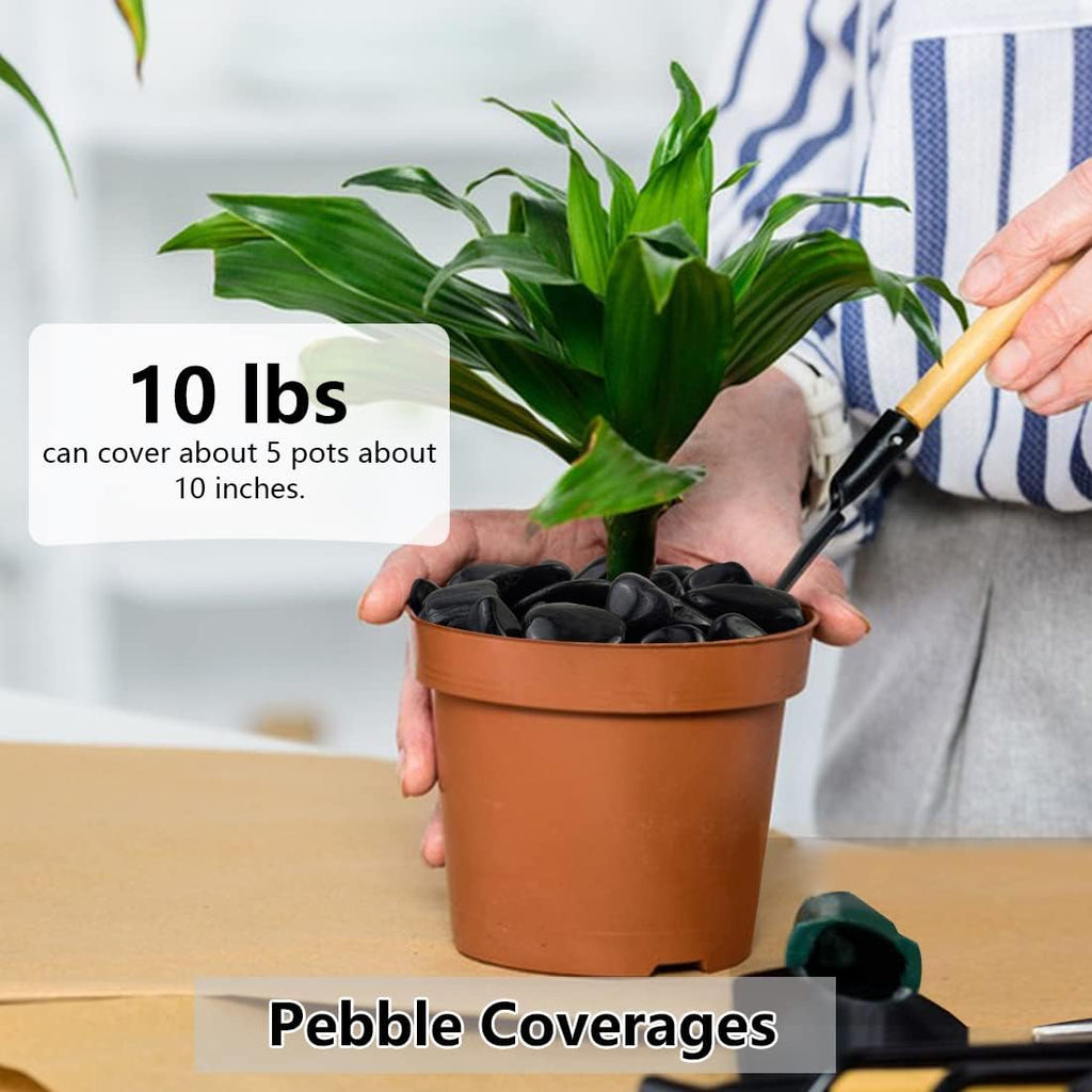 40lbs Black Pebbles Mulch for Landscaping, 1-2 Inch High Polished Natural River Rocks for Plants, Decorative Stones Garden Outdoor and Indoor DIY Vase Filler Fish Tank Aquariums