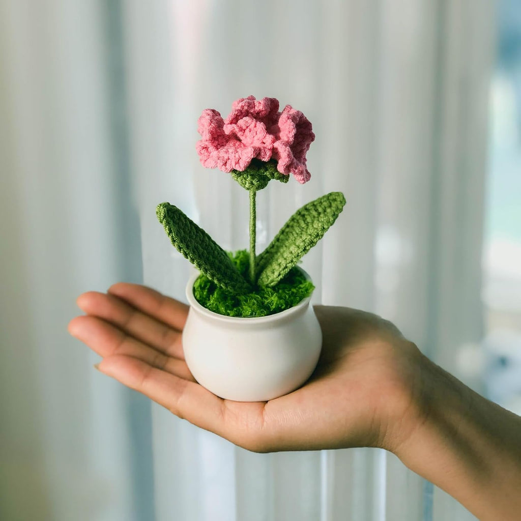 Crochet Flowers Cute Little Potted Flower, Gift for Mother's Day, Birthday, Teacher’s Day, Graduation, Anniversary, Decor for Car Dashboard,Home Office Decoration (Rose red Carnation)