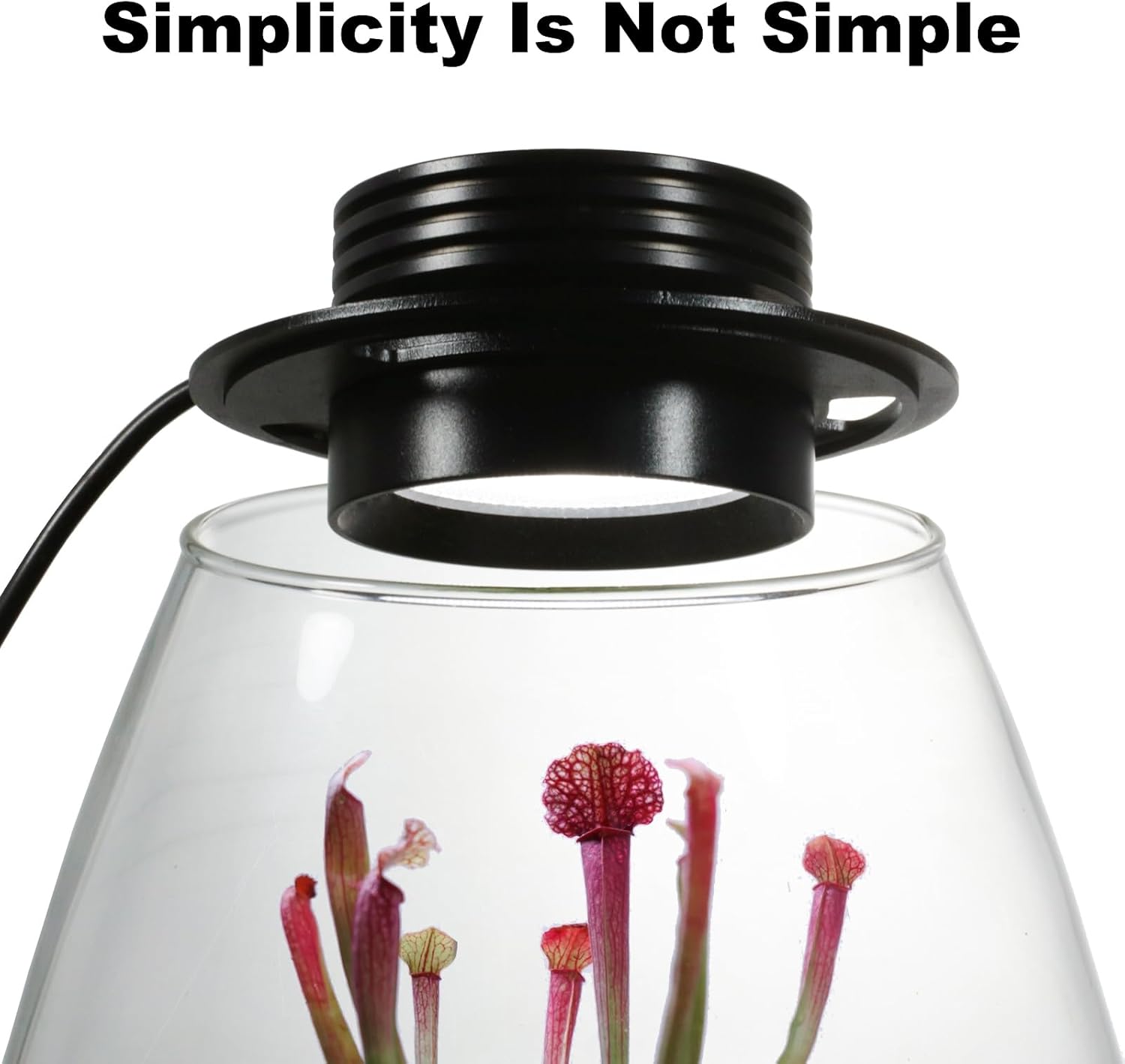 Desktop Glass Terrarium with Grow Light (H:7.8" D:6.7"), for Succulent, Moss, Miniature Gardening Landscape, Betta Fish Tank, Indoor Plant Growth, Office Home Decoration, Plant Lovers Gifts