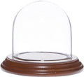 Plymor 3" x 3" Glass Display Dome Cloche (Walnut Veneer Base)