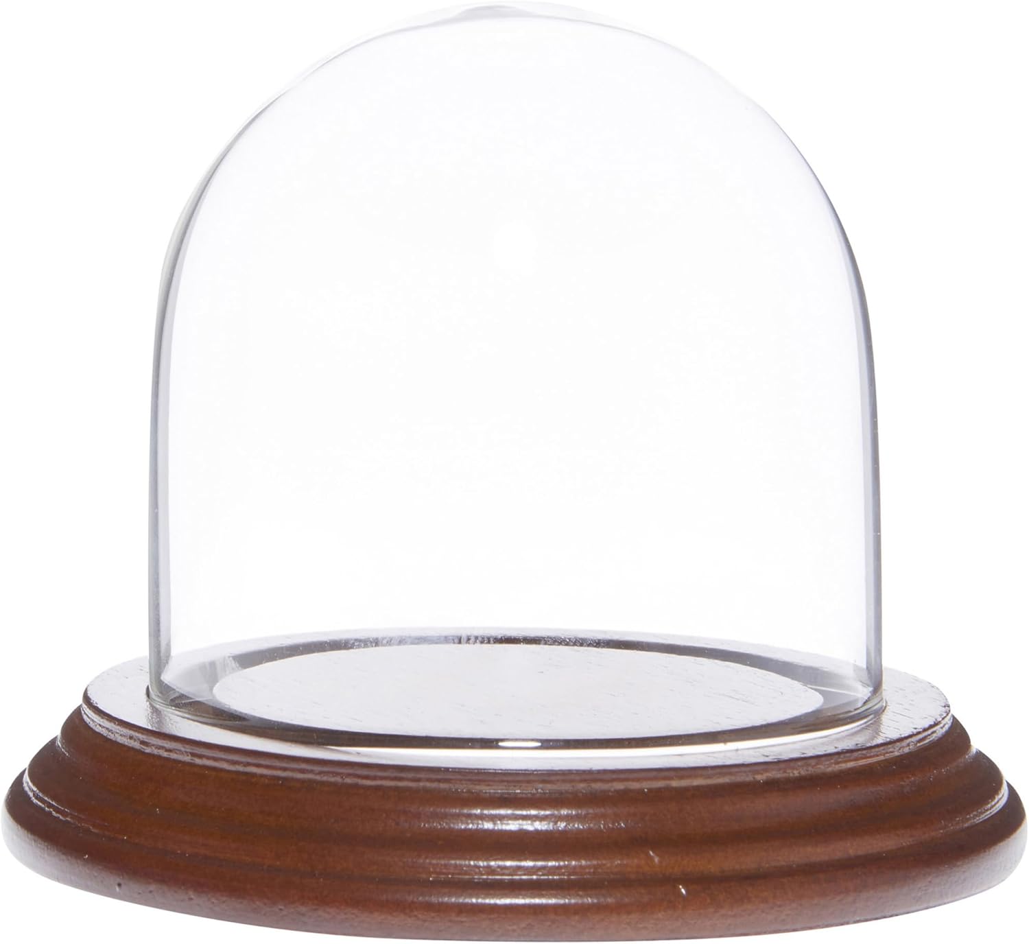 Plymor 3" x 3" Glass Display Dome Cloche (Walnut Veneer Base)