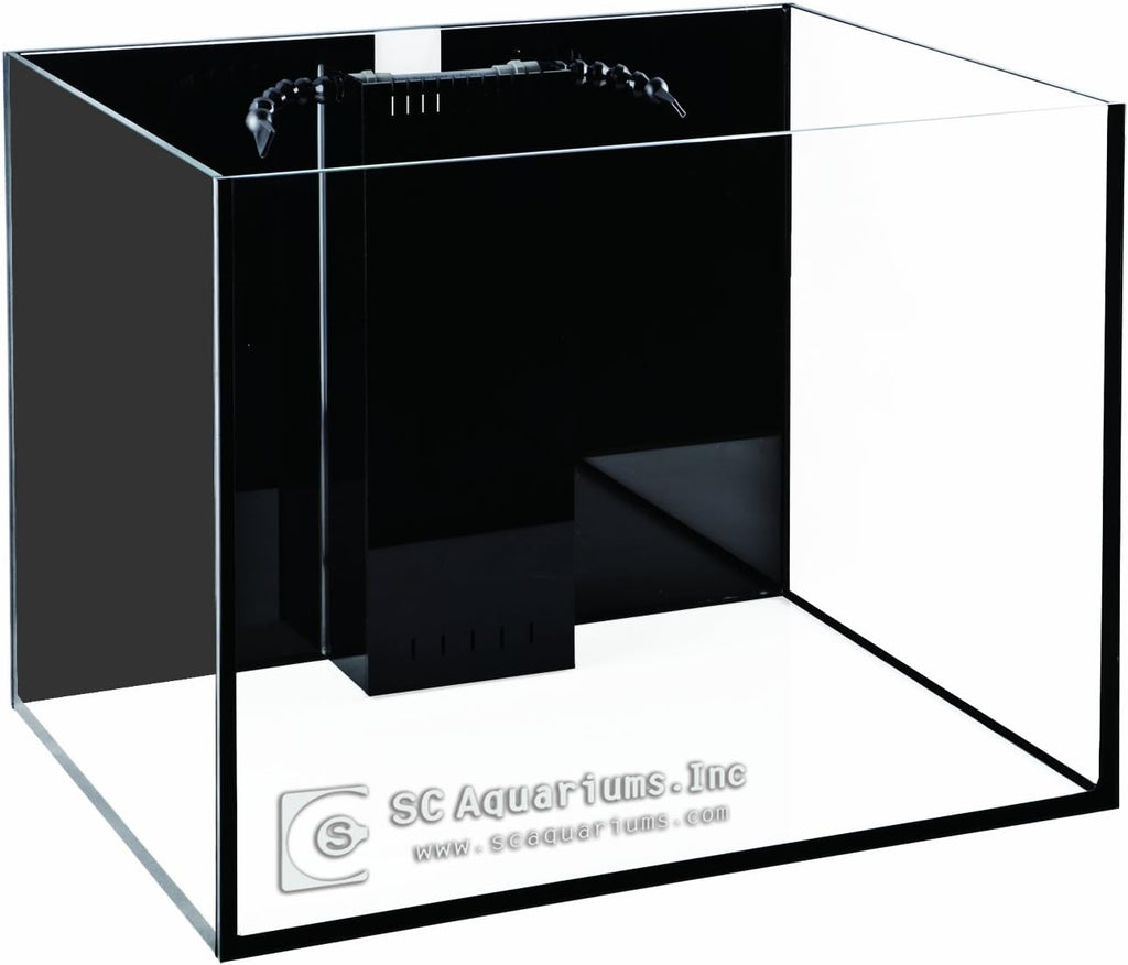 SCA 66 Gallon Starfire Rimless Aquariums Pnp System 32x24x20 10mm with Built-in Overflow