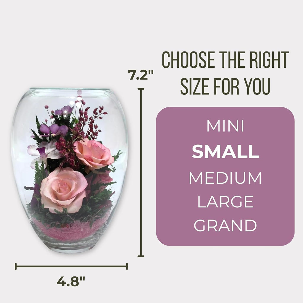 Fiora Flower | Premium Preserved Roses in Glass Vase | Lasts 5 Years | Long-Lasting Real Roses for Christmas, Weddings, Birthdays