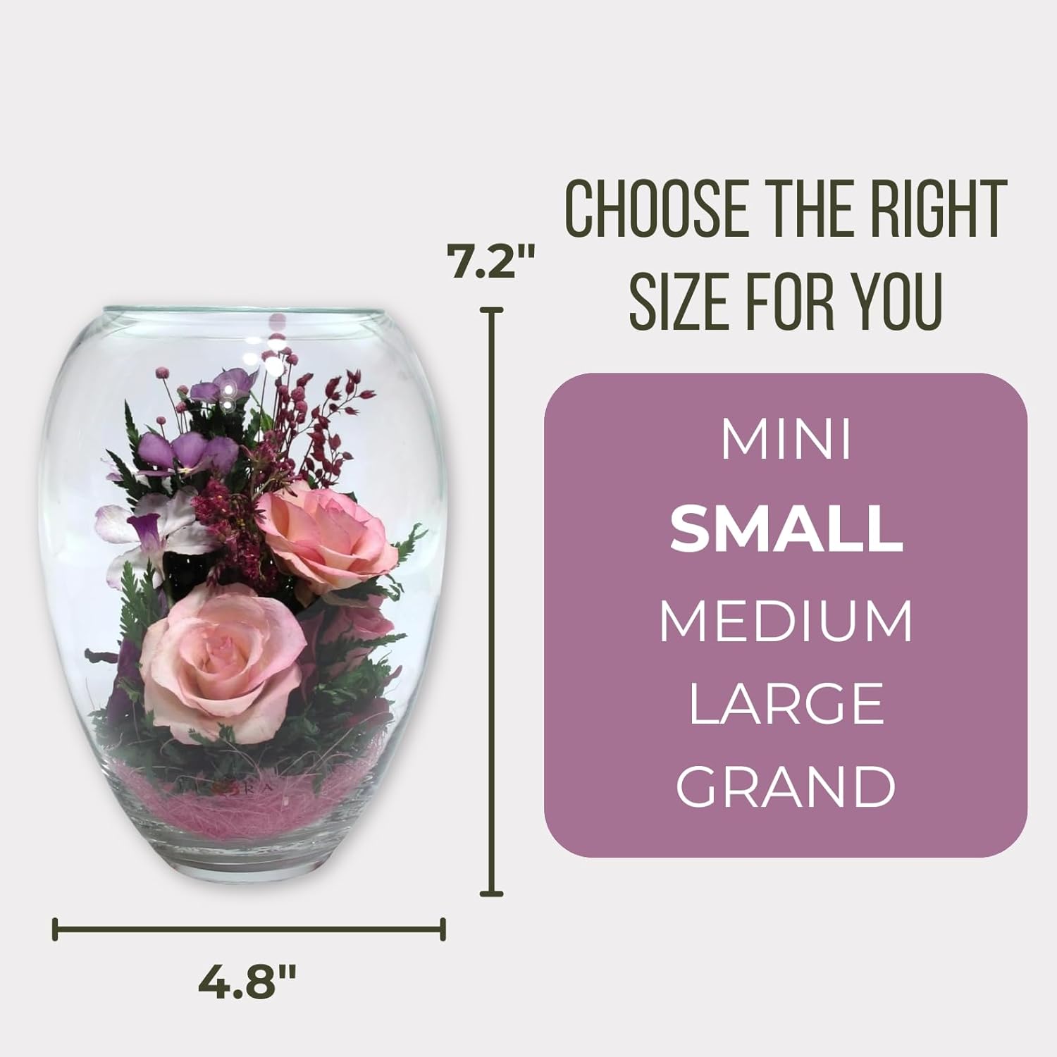 Fiora Flower | Premium Preserved Roses in Glass Vase | Lasts 5 Years | Long-Lasting Real Roses for Christmas, Weddings, Birthdays