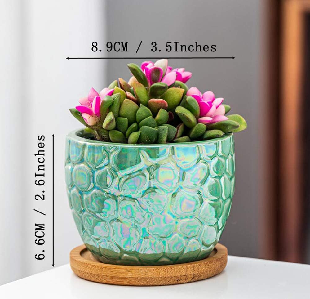 3.5 Inches Ceramic Succulent Planters, Colorful Bonsai Pots for Window Desk Home Decor with Bamboo Trays