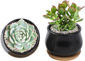 2 Pack Succulent Pots, 2.5 Inch Mini Ceramic Pots for Flower or Cactus Plants with Drainage Hole,Plants Not Included (Black)