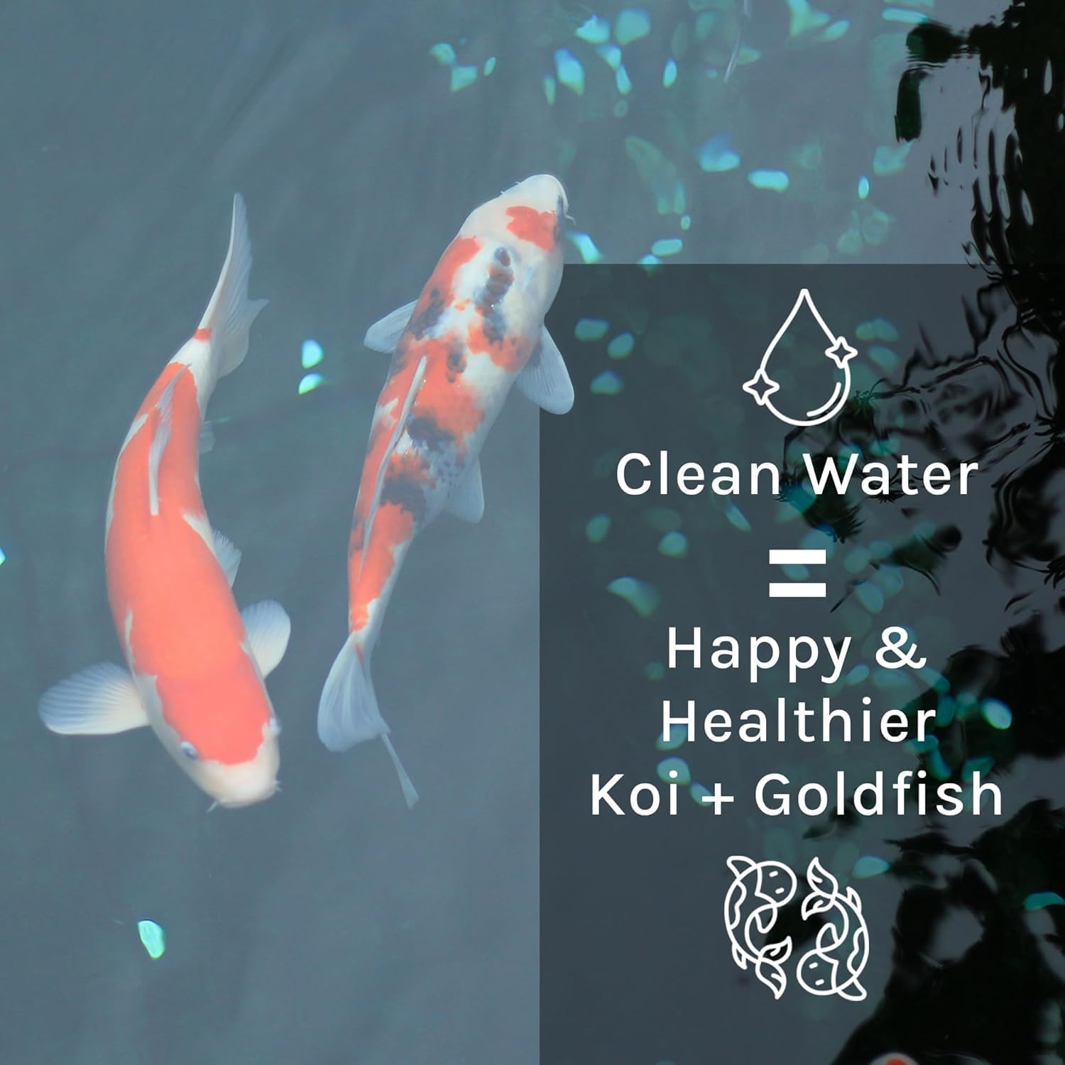 MICROBE-LIFT PL Pond Bacteria and Outdoor Water Garden Cleaner, Safe for Live Koi Fish, Plant Life, and Decor, 2.5 Gallons