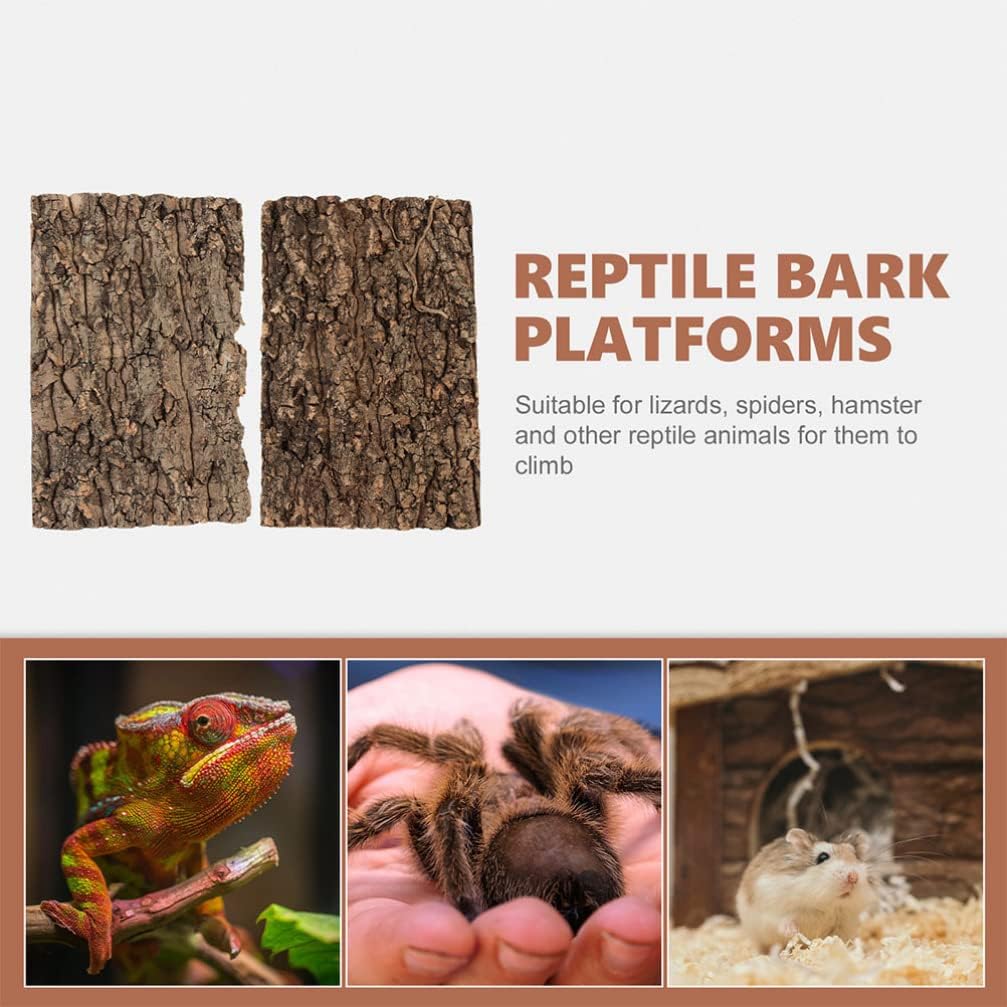 Totority Cork Bark 3Pcs Plants Decor Cork Terrarium Background, Cork Tile Background Decorative Tree Bark Adornment Reptile Climbing Plaything for Gecko Lizard Tortoise Frog Bearded Dragon Tank Access