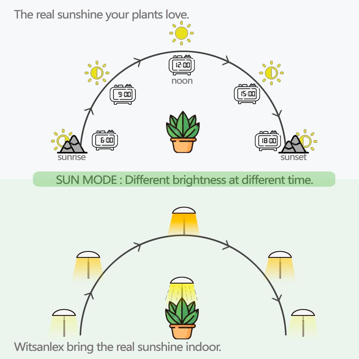 LED Grow Lights for Indoor Plants 2 Pack, Smart Full Spectrum USB Small Plant Lights with Remote, Height Adjustable, Auto On/Off Timer, Ideal for Home Decoration