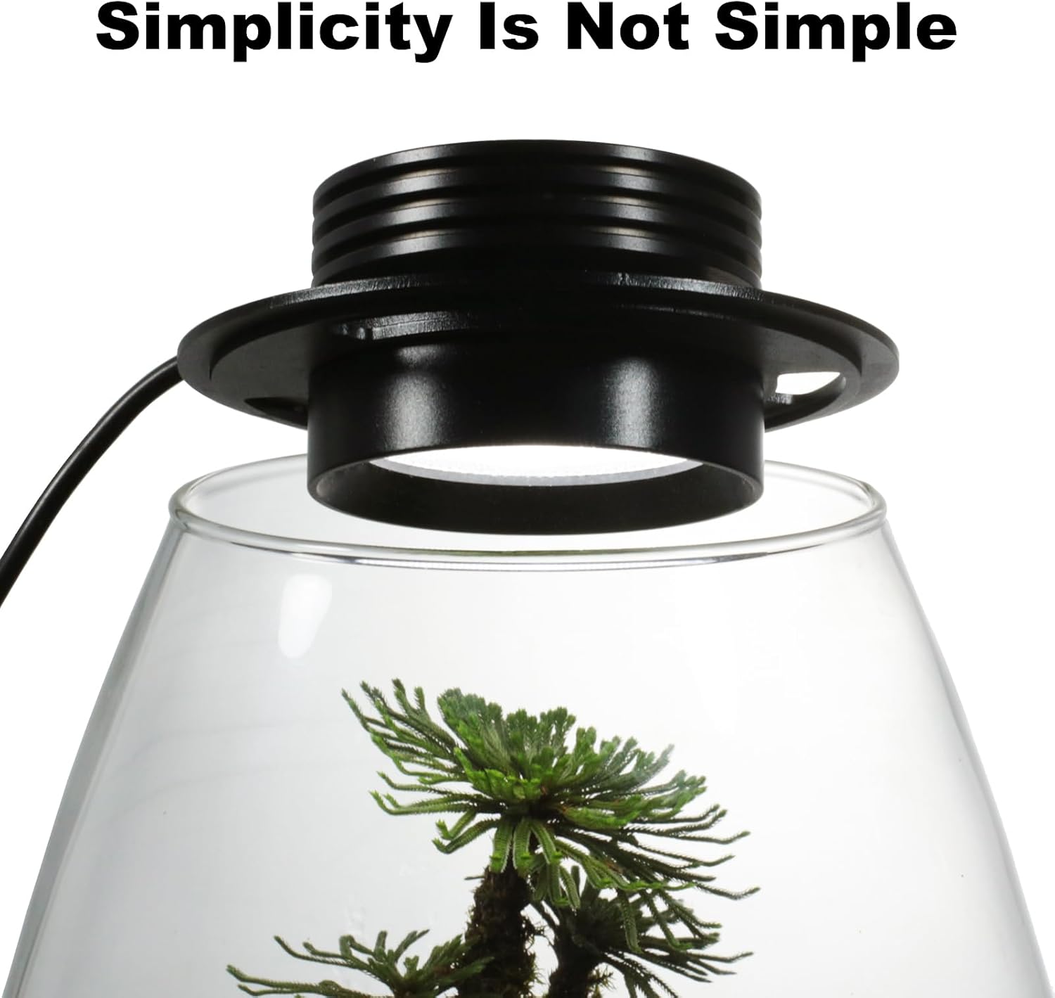 Glass Terrarium Plant Growing Lamp, for Vases Up to 4 Inches in Diameter, Light with Timer Auto On/Off, Indoor Plant Growth, Succulent, Miniature Gardening Landscape (5W 4IN)