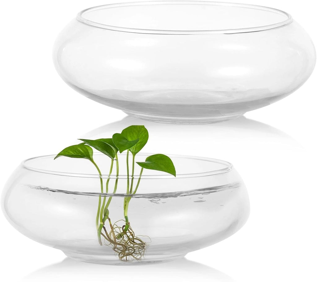 2 PCS Glass Bowl Vases, Wide Mouth Round Glass Terrarium, Hydroponic Planter, Clear Floral Container