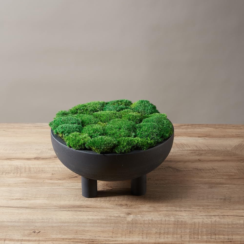 Preserved Pole Moss Pillow Bun Cushion Natural Green Decorative Real Natural DIY Kit Gardenning Art Wall Decor Florist Easter Table Decor Wedding(1.5 sq.ft, Green-C)