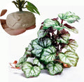 Reptile Plants for Terrarium Decor,Amphibian Habitat Decor,Artificial Plants for Gecko Chameleon Snake Tortoise Tank Accessories with Base (Green heuchera micrantha)