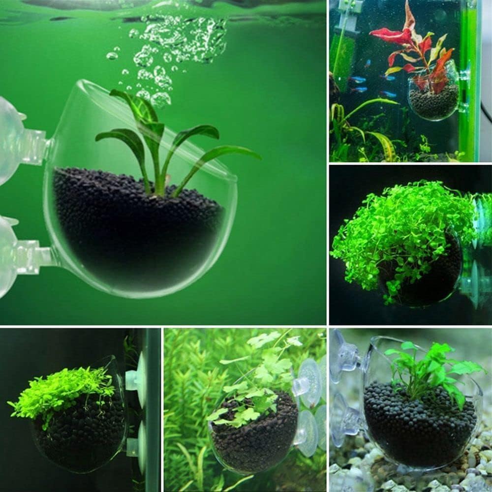 2Pcs Aquarium Plant Pot, Glass Fish Tank Planter with Suction Cups, Plants Holder Decoration Cup