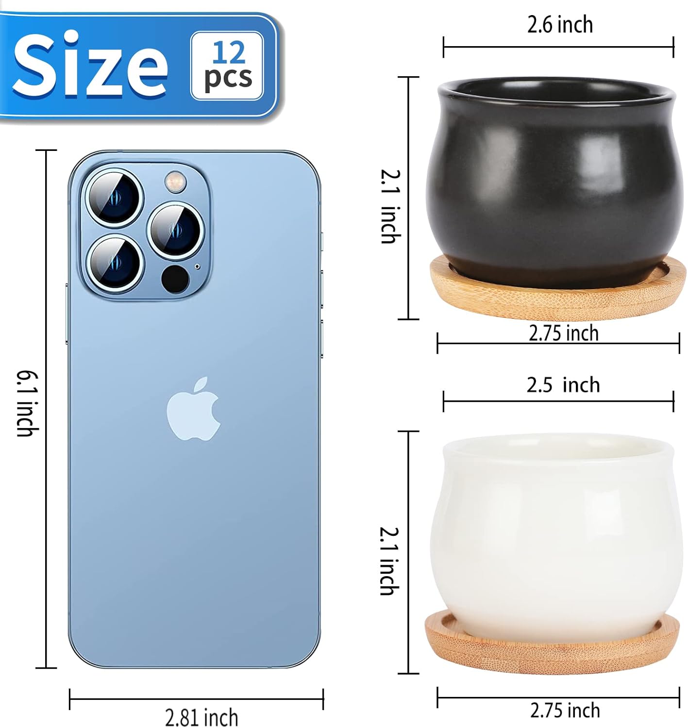 12 Pack Succulent Plant Pot, Mini 2.6 inch Ceramic Flower Planter Pot with Bamboo Tray, Small Pots for Plants, Plants Not Included （White, Black）