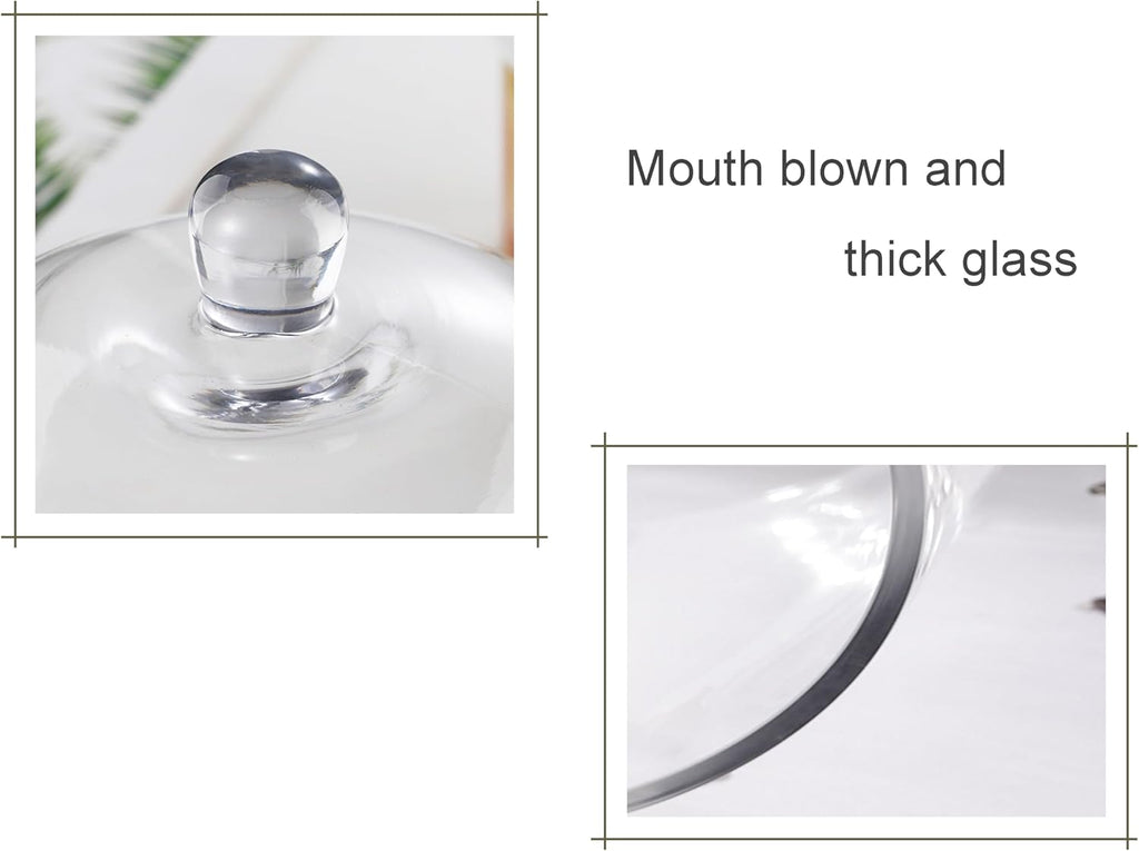 7.5" Tall Handmade Glass Cloche, Thick & Sturdy, Dia 5"xH 7.5", For Terrarium, Plants, Trinkets, Cakes, Figurines, LED Light String, Candle. Cloche Glass Dome, Bell Jar Display Case (1, 5.12"x7.48")