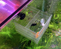 Magnetic Breeder Box for Tank Isolation Box Acclimation Hatchery Fish breeding Incubator with 3 Divider for Guppy Baby Betta Saltwater Anemones or Injured Fish（Sealed Bottom Version）