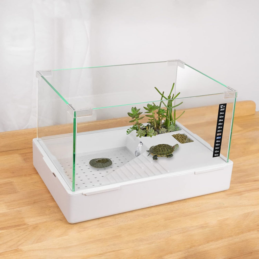 Turtle-1 (Small(Glass))
