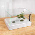 Turtle-1 (Small(Glass))