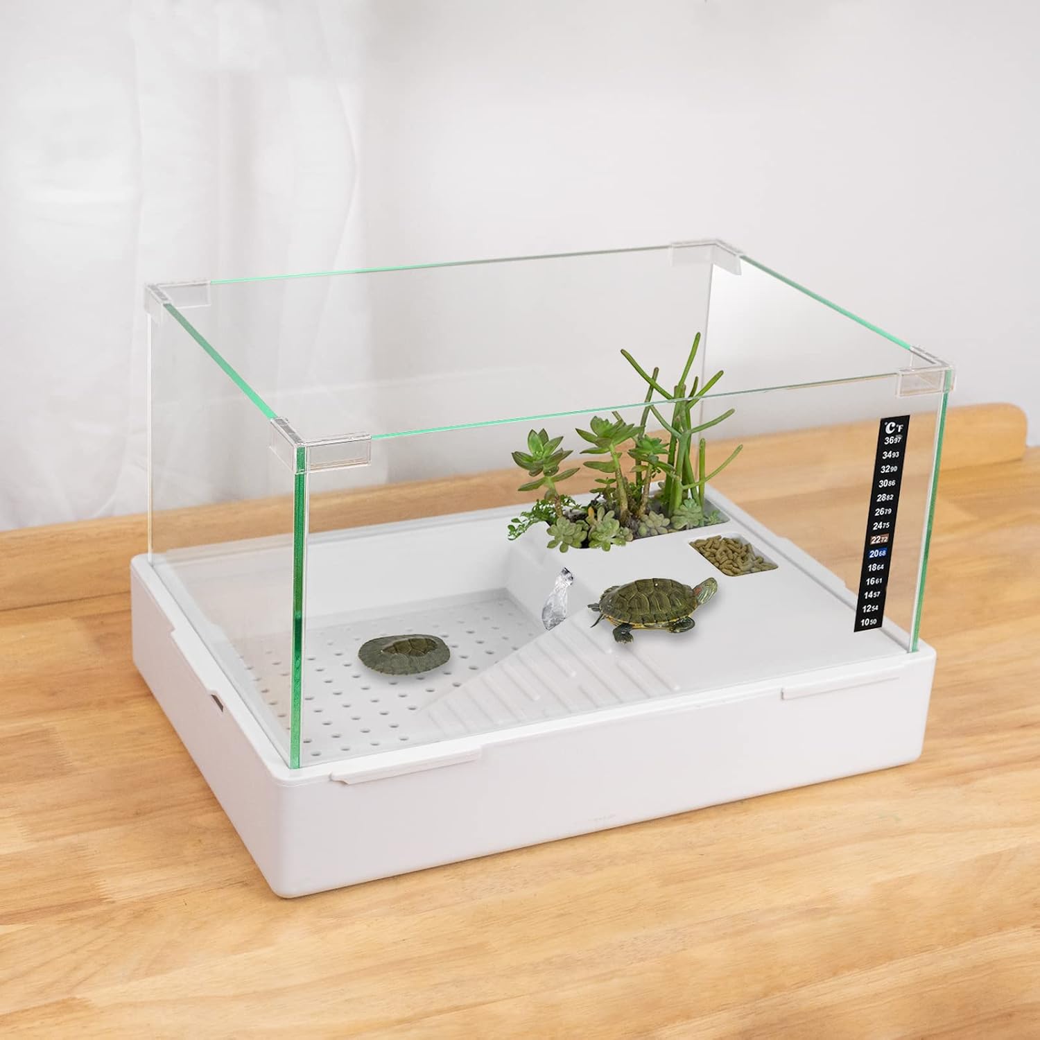 Turtle-1 (Small(Glass))
