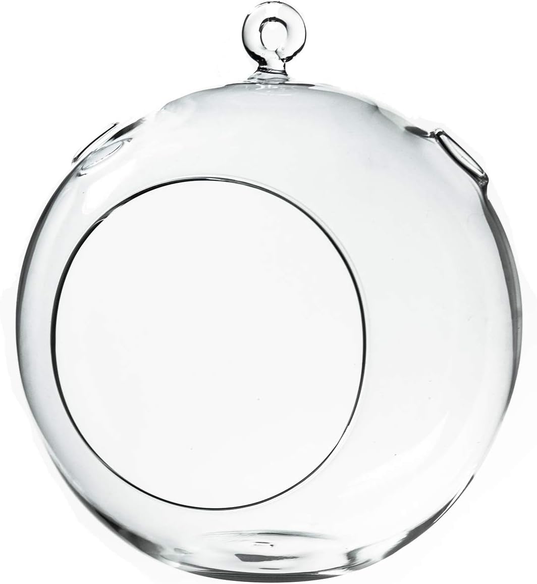 WGV Hanging Terrarium Globe, Width 7", Height 8", DIY Air Succulent Planter, Clear Glass Vase Orb with Flat Bottom, Candle Holder for Windowsill Outdoor Garden Decor, 1 Piece