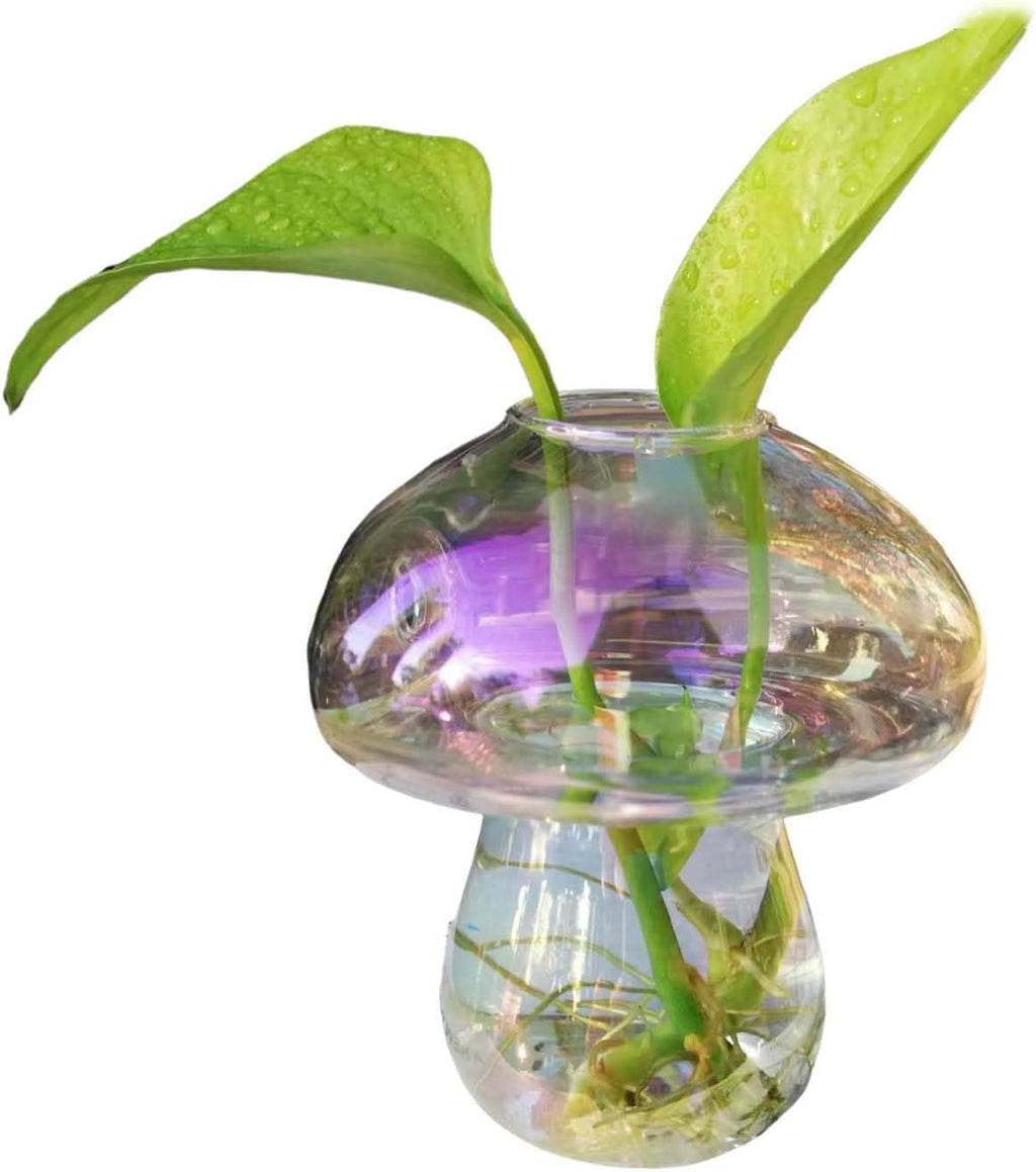 Wall Hanging Mushroom Vase, Small Plant Propagation Stations Fall Bud Vase Cute Mushroom Glass Planter Terrarium Indoor Hydroponic Flower Holder for Elegant Home Decor Gifts, Colorful, 1 PC
