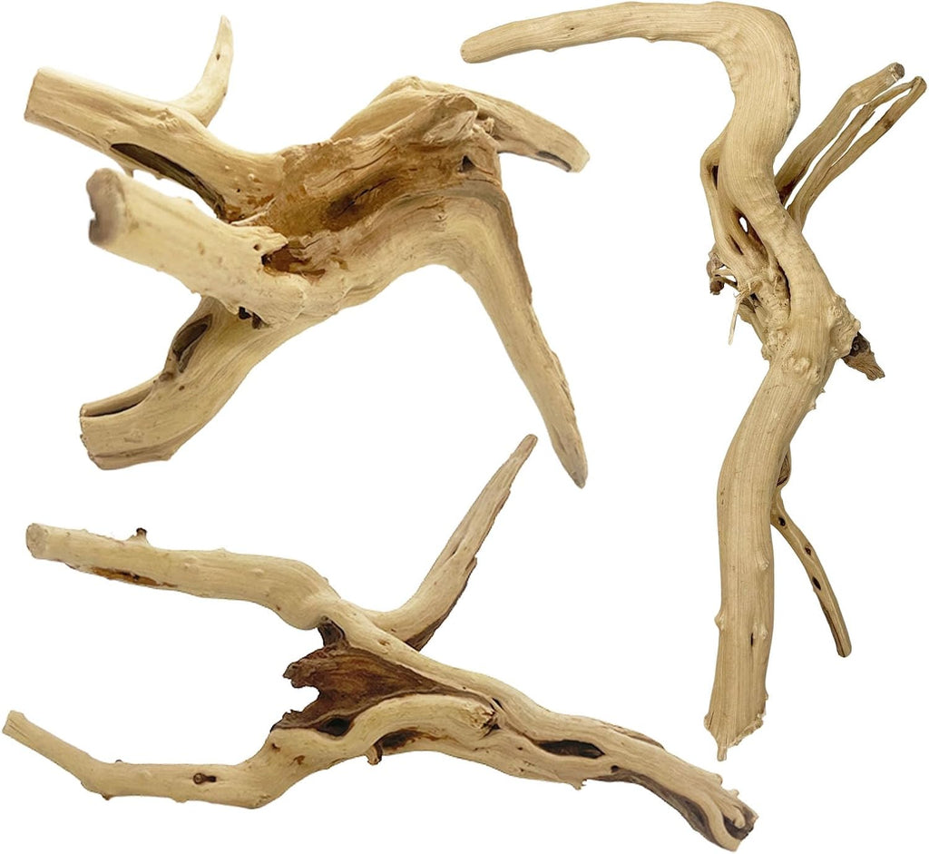 3 Pcs Natural Spiderwood for Aquarium, Aquarium Driftwood Freshwater 10-12 Inch, Assorted Size Spider Wood, Twisted Branches for Fishtank Accessories, Reptile Terrariums Decorations