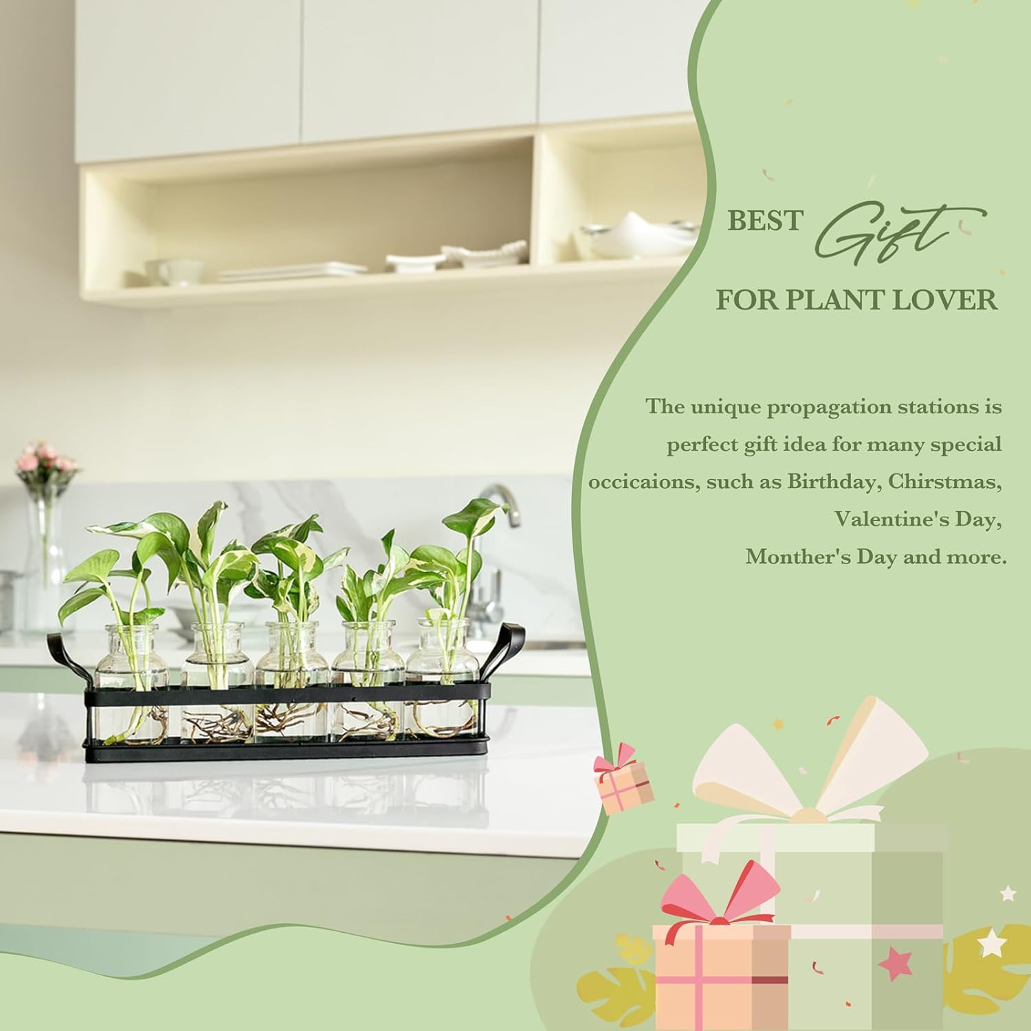 Mkono Propagation Stations with Metal Stand, Desktop Plant Terrarium Glass Planter Vase for Hydroponic Plants Flower Cutting Home Office Garden Decor Plant Lover Gifts, 5 Jars