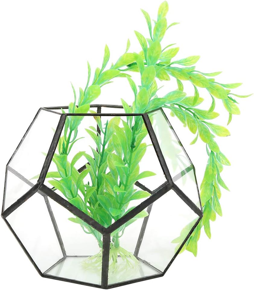 Black Geometric Glass Terrarium Planter Pentagon Flower Pot Glass Terrarium Container for Succulents Fern Air Plants Mini Tabletop Decor Centerpiece