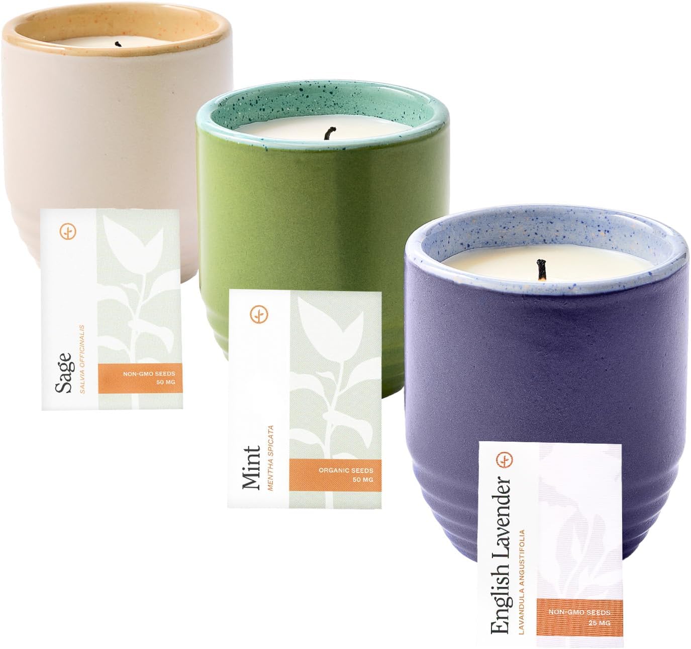 Modern Sprout Garden Vibes 2-in-1 Soy Candle & Planter - 3-Pack Indoor Set (Violet Hour, in The Weeds, Golden Moments) 6 Oz Scented Candles with Lavender, Sage & Mint Seeds – 38–40 Hr Burn Each