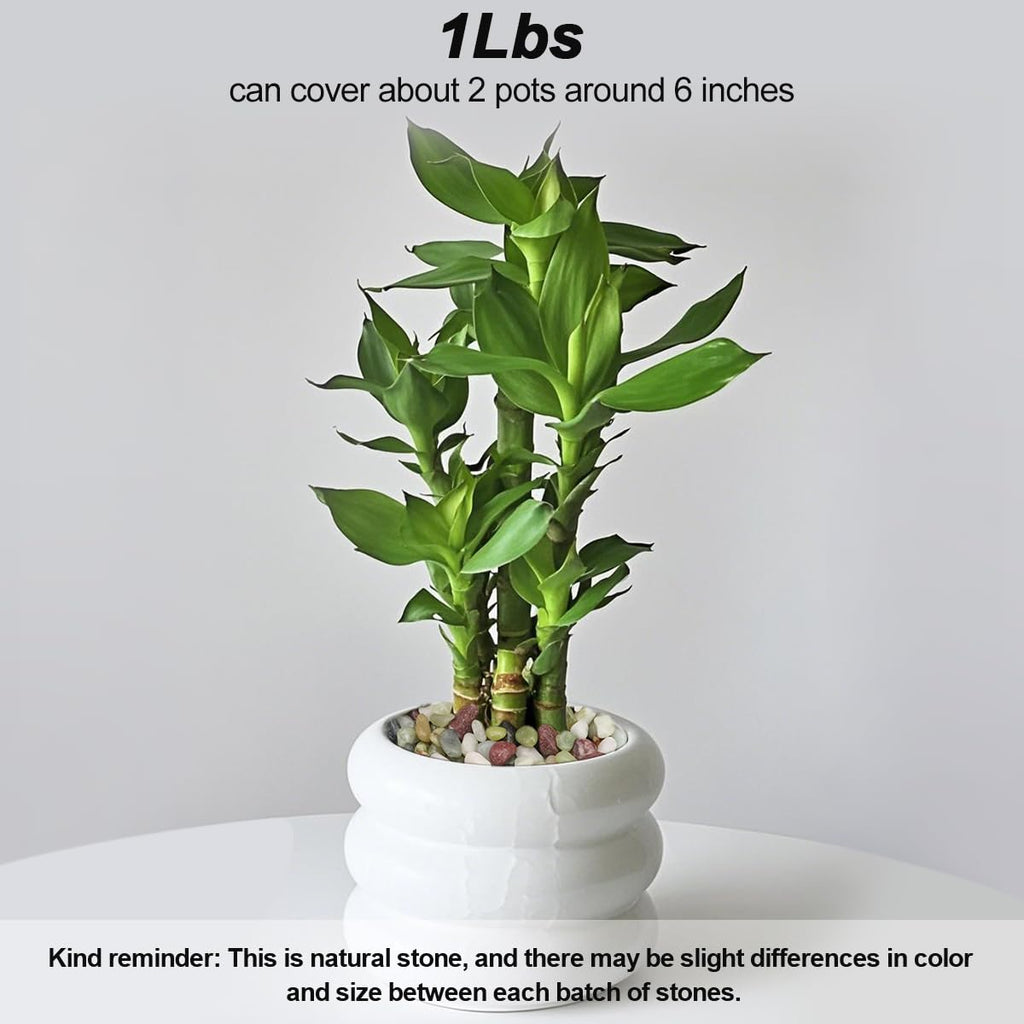 Landscaping Pebbles River Rocks Decorative Ornamental Pebbles Garden Landscaping Stones Gravel Filler for Home Decoration Flower Bed Fish Tank Plants Vases Succulents (1, Green, 1 Pound)