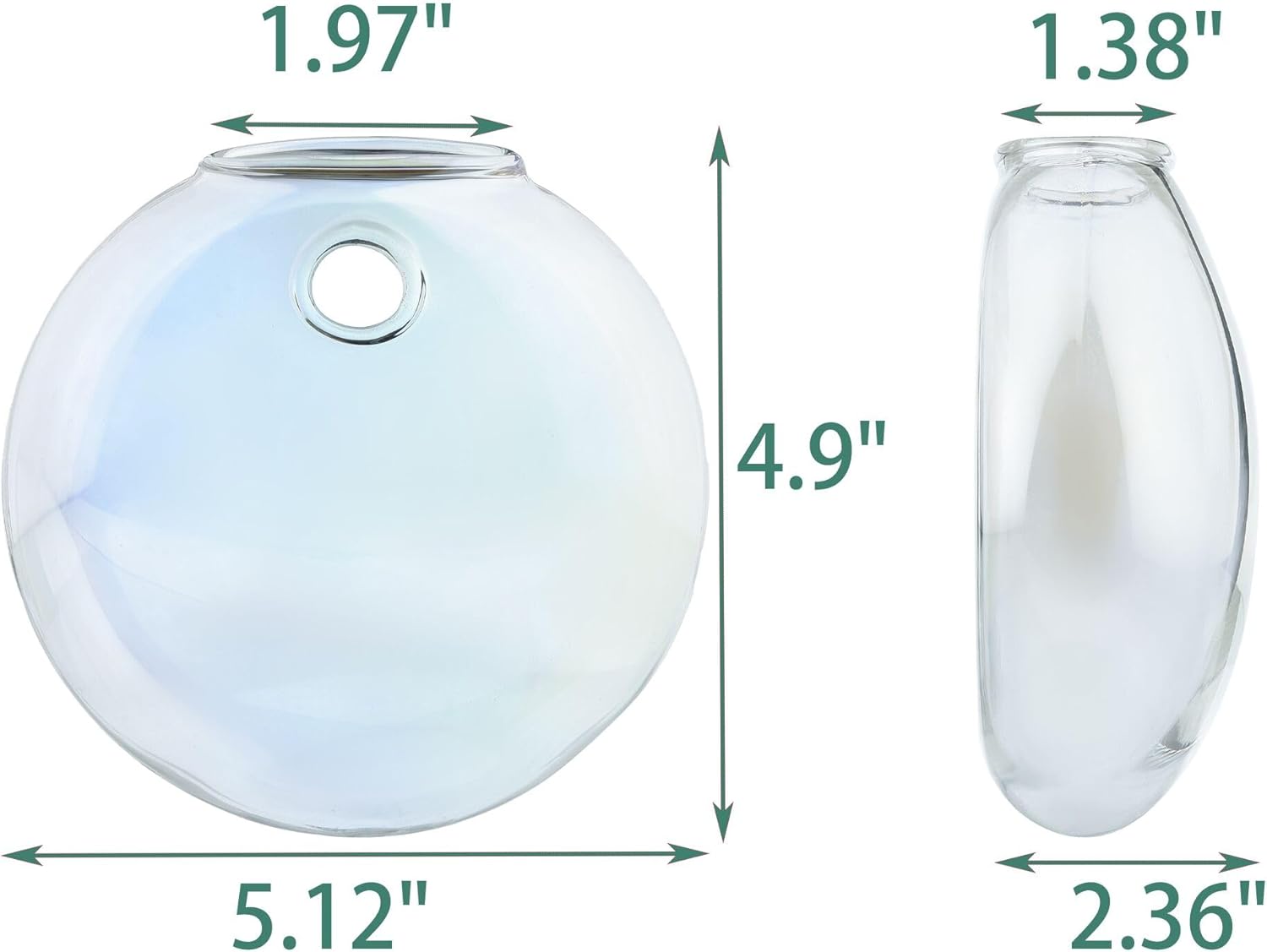 4 pcs Glass Wall Hanging Planter, Oval Terrarium Vase, Propagation Station for Hydroponics, Indoor Plants, Home Office Decor (Medium)