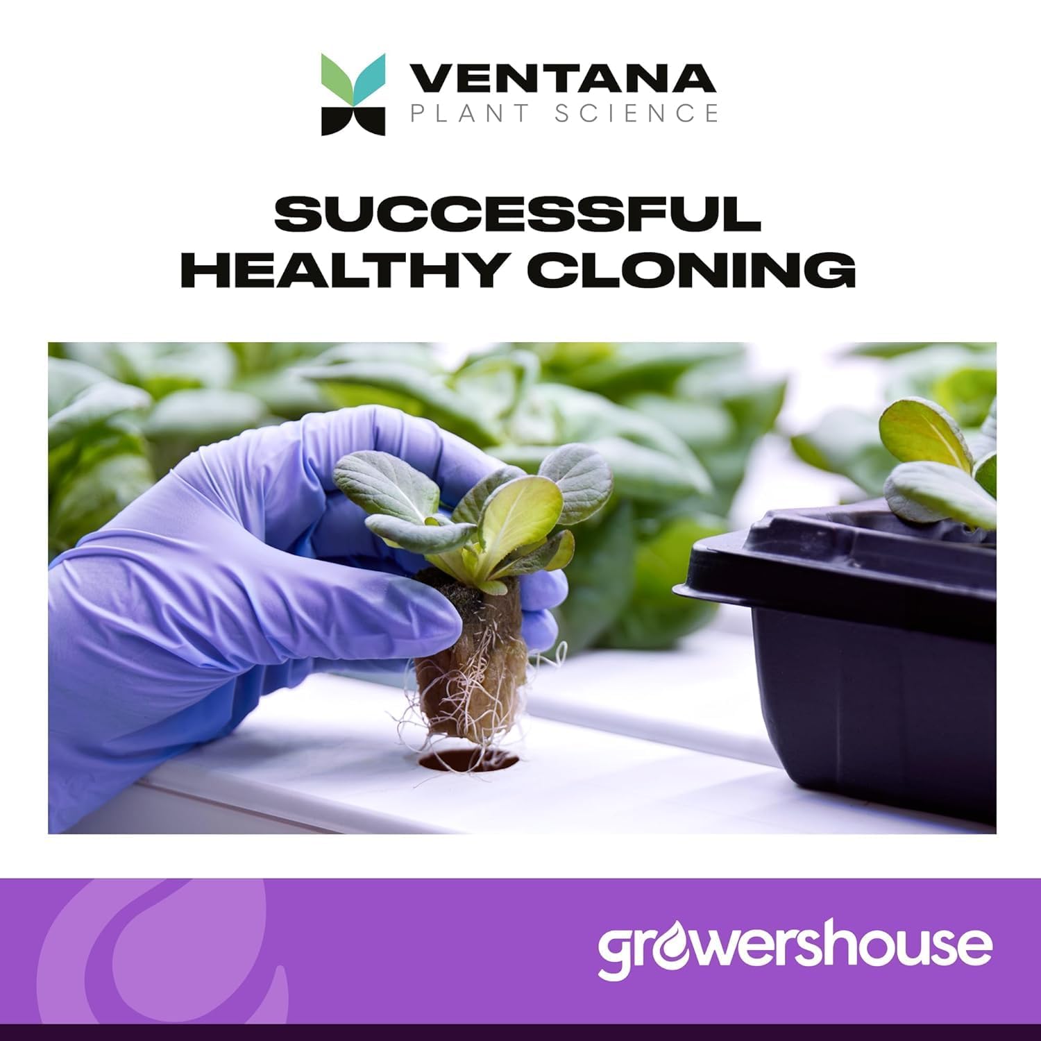 Clonex Rooting Gel 100ml with VPS OrganiPlug Hydroponic Seed Starter Plugs 50 Pack - Bundle