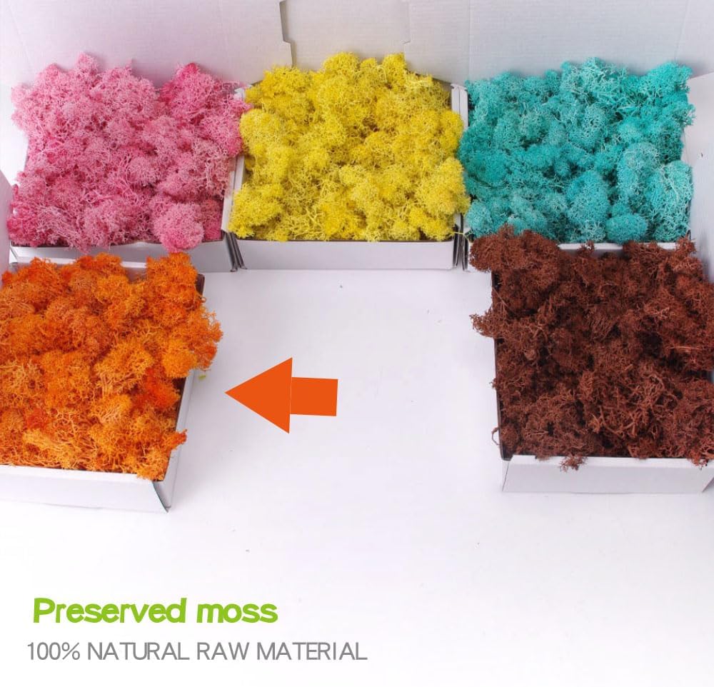 ACADOIT Preserved Moss-3.5 OZ Moss for Crafts Faux Moss Decor Natural Green Moss for Art Wall Florist Decor(Orange 3.5 OZ)