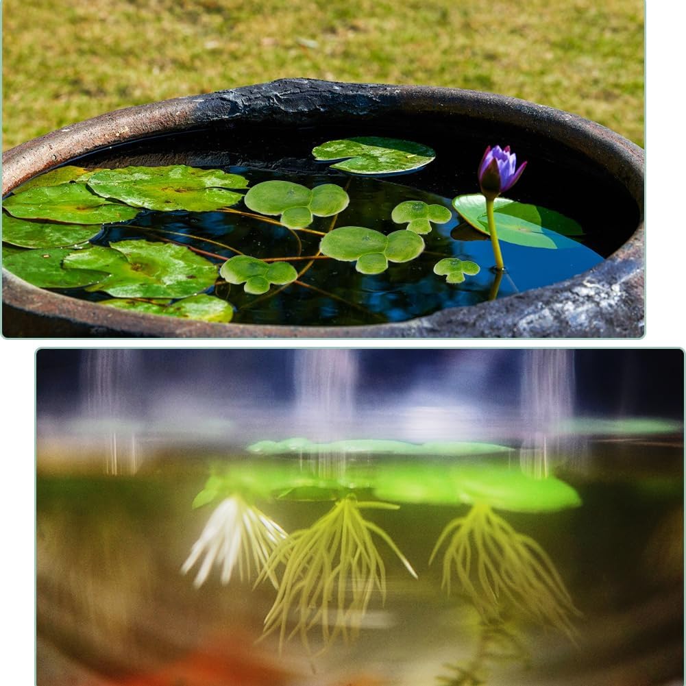 SUPERFINDINGS 90PCS 3 Sizes Artificial Floating Duckweed Plastic Aquarium Floating Plant Artificial Floatings Plants Fish Tank Plant Simulation Floatings Plants for Fish Tank Aquariums