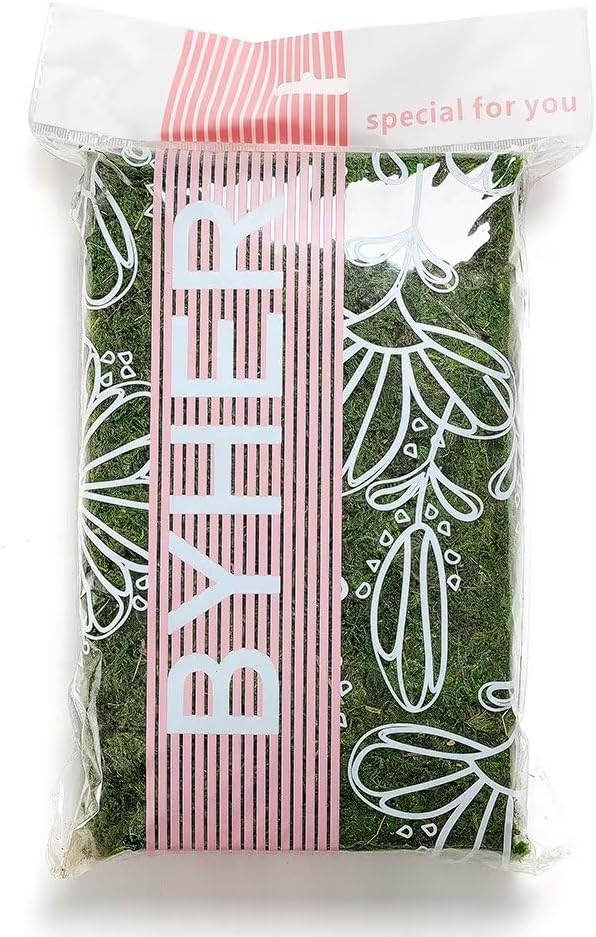 Byher 92926 Preserved Forest Moss, Fresh Green (8OZ)