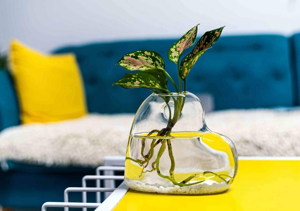 Kingbuy Wall Hanging Glass Planter Terrarium Plant Propagation Station Heart Shape Vase for Planting Hydroponic Water Plants Home Office Garden Decor Gift, 2 Pack