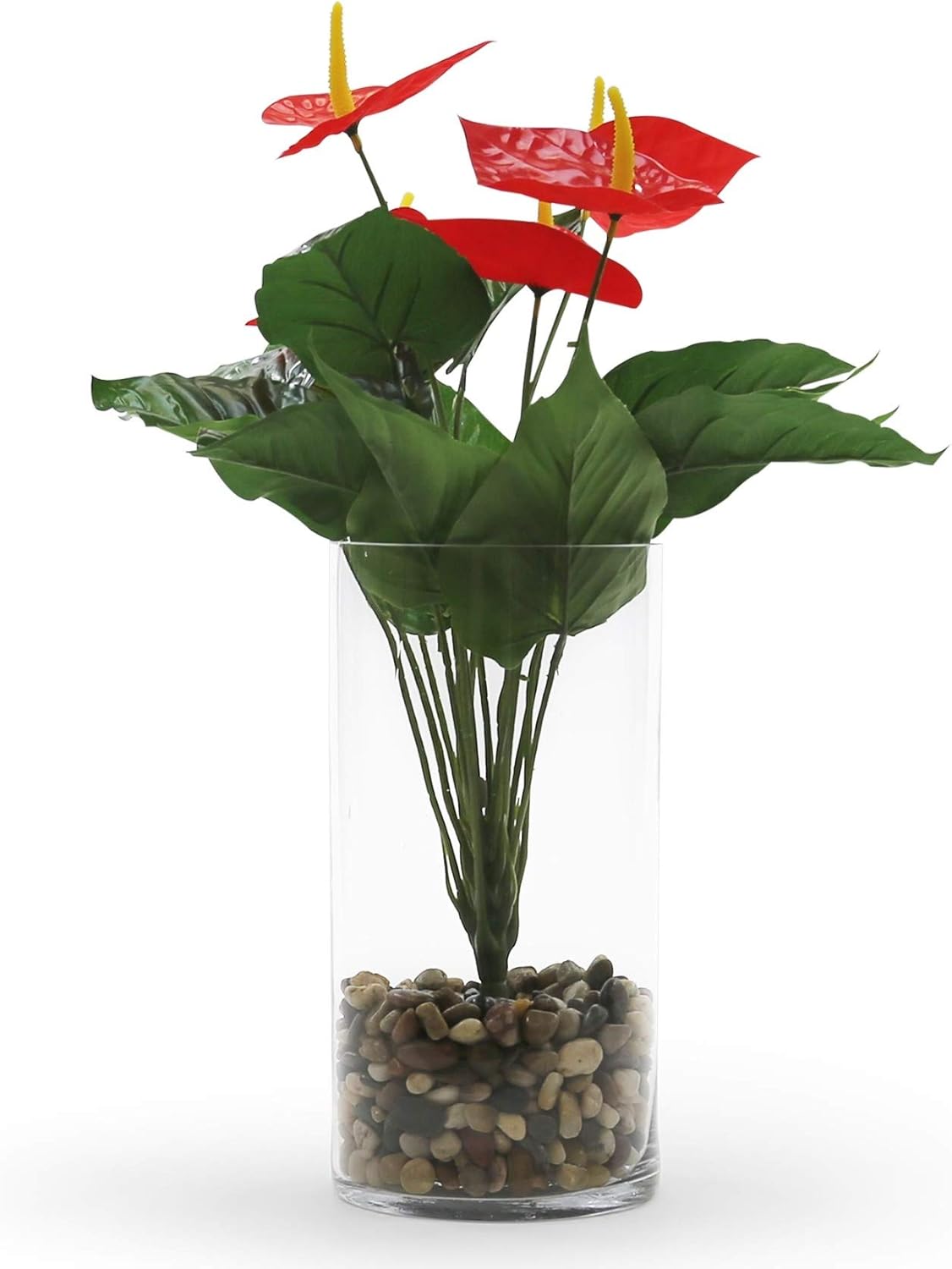 WGV Cylinder Vase, Width 6", Height 10", Clear Glass Container Terrarium Candle Holder for Wedding Centerpiece, Party Event, Home Office Decor, 1 Piece