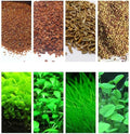 4 Bags Aquarium Plant S.e.e.ds, not Artificial Plastic Plant, Fish Tank Live Grass for All Substrate