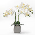 Artificial White Orchid Plant in Gray Ceramic Pot, Realistic Faux Flowers Indoor Decorative Display, 21-Inches Tall, Non-Allergenic, Maintenance-Free
