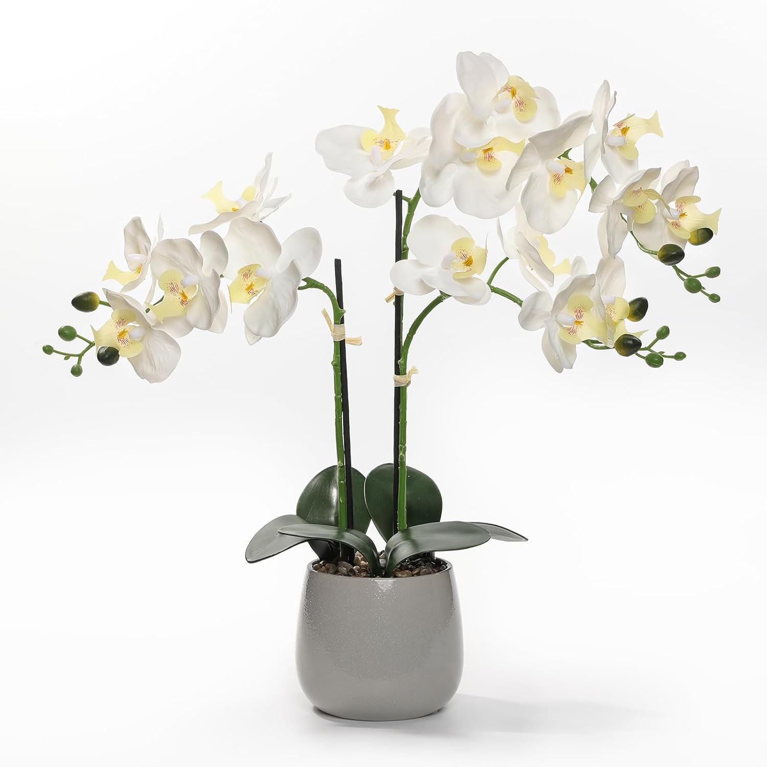 Artificial White Orchid Plant in Gray Ceramic Pot, Realistic Faux Flowers Indoor Decorative Display, 21-Inches Tall, Non-Allergenic, Maintenance-Free