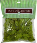 Preserved Reindeer Moss - Premium Decorative Moss for Crafts, Home Décor, Art, Design & DIY Projects - Real Moss - Non-Toxic, USA-Made (Chartreuse, Medium)