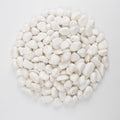 10 lbs White Polished Decorative Stones, 0.5-1 Inch Landscape Rocks for Indoor Plants, Garden, Outdoor Pathways, Vase Fillers, Pots, Glass Containers, and Craft Pro (Pure White, Weight: 10 LB)