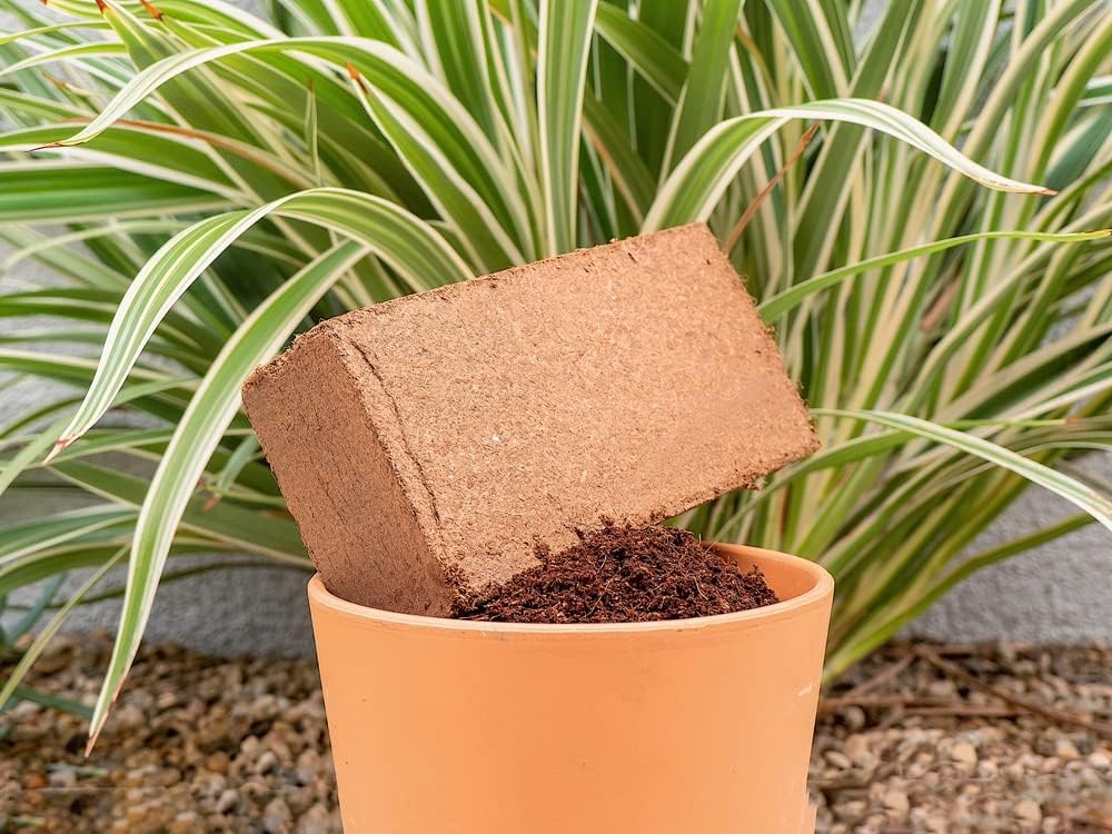 Coco Coir for Plants 3-Pack – 2.4 Gallons Compressed Coconut Coir Bricks, 10 lb. Organic, Low EC, pH Balanced Coco Peat for Indoor & Outdoor Gardening, Potting Soil, Indoor Plant Soil