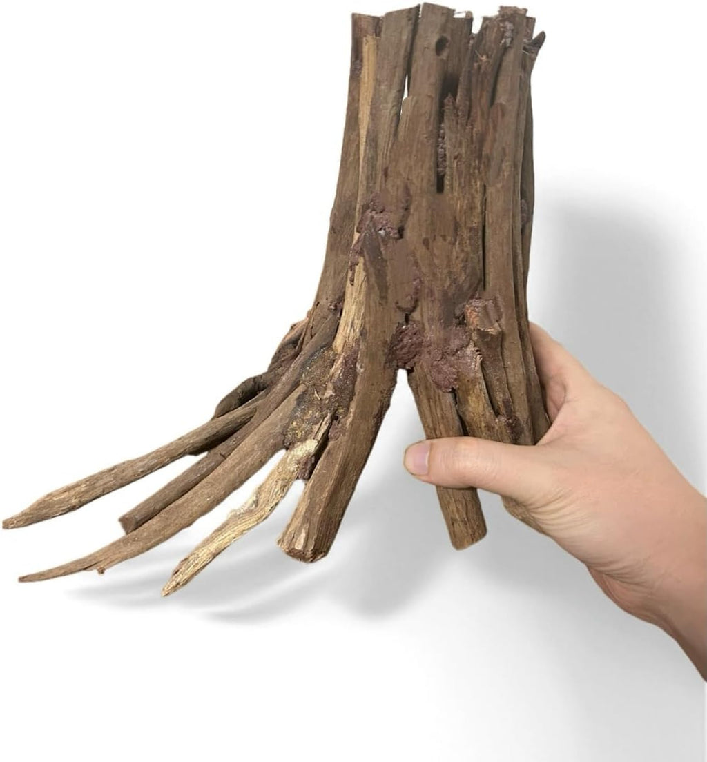 10inch Aquarium Tree Stump Handcrafted 10inch Height Driftwood Bonsai aquascaping Wood Aquarium Landscape Tree Stump Fish Tank hardscape aquascape