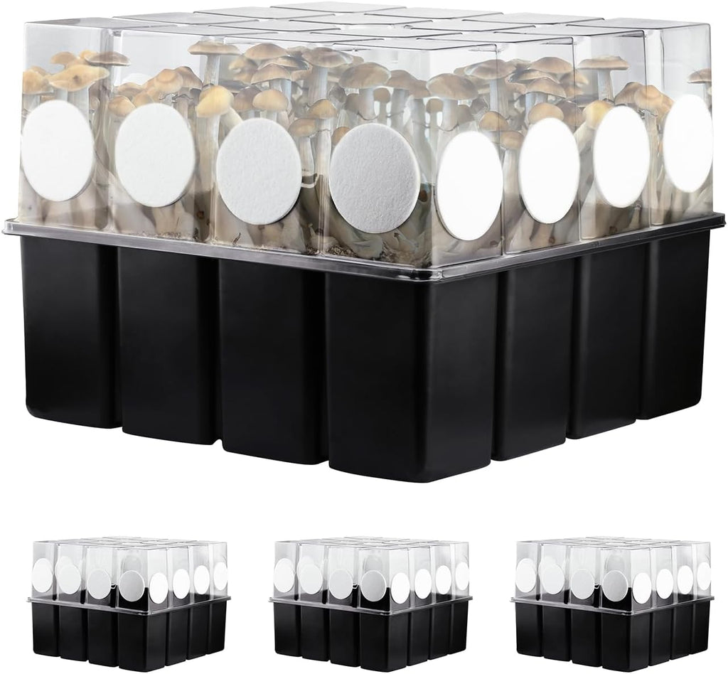 3 Set Mushroom Grow Kit Monotub with Filter Disks 43.5 Quart Vegetable Planting Tray Mini Greenhouse Germination Box for Seeds Growing Starting