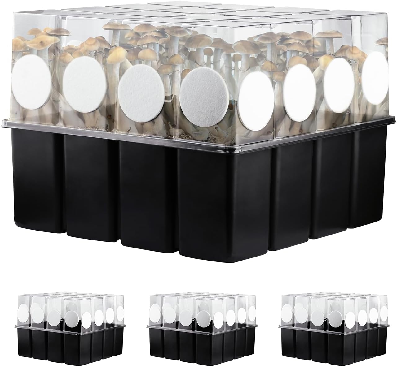 3 Set Mushroom Grow Kit Monotub with Filter Disks 43.5 Quart Vegetable Planting Tray Mini Greenhouse Germination Box for Seeds Growing Starting