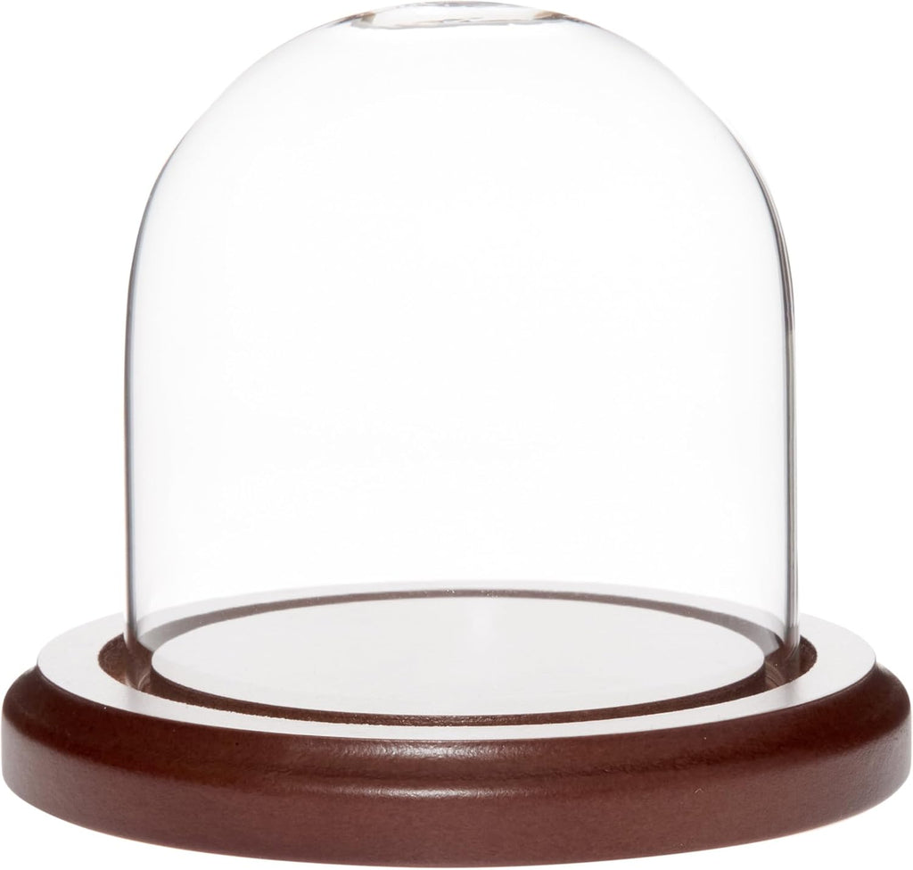 Plymor 3 inch x 3 inch Glass Display Dome Cloche (Dark Wood Base)