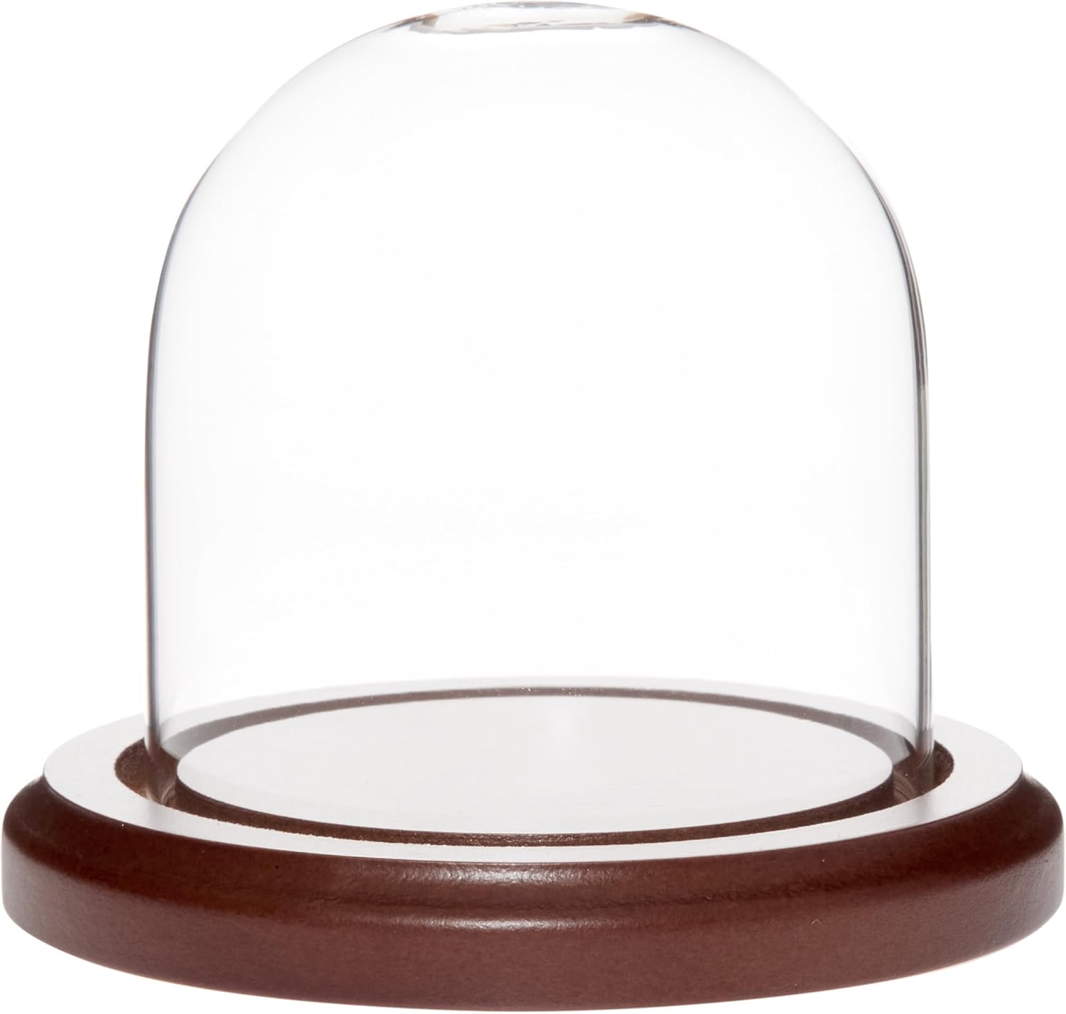 Plymor 3 inch x 3 inch Glass Display Dome Cloche (Dark Wood Base)