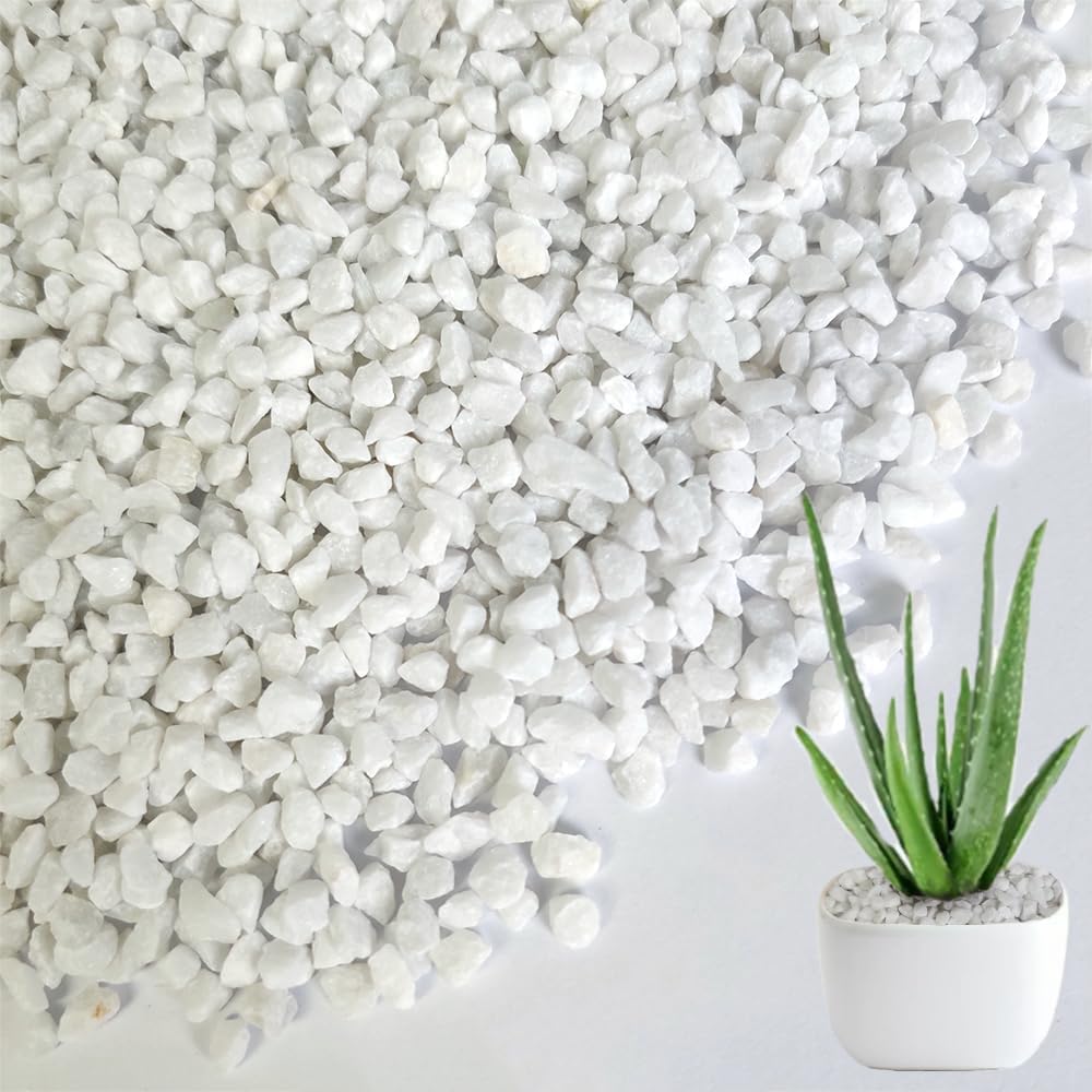 HappyFiller Succulent Cactus Soil Cover Gravels,Indoor Plants Decorative Small Rock,2-5mm Natural White Stones for Aquarium Fish Tank,Grow Media Cultivation Hydroponic Pebbles,1.1 LB